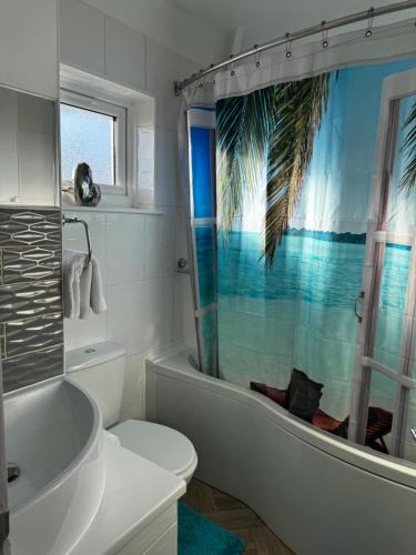 a bathroom with a shower and a toilet and a sink at Peaceful & Convenient For business Trip & Families holiday & working proffesional-long term deals available , M1 J25-10Min , WI-Fi 500Mb , Netflix , Secure Huge Private garden with 6 cars parking space , Fully equiped kitchen , Few local shops near by in Nottingham