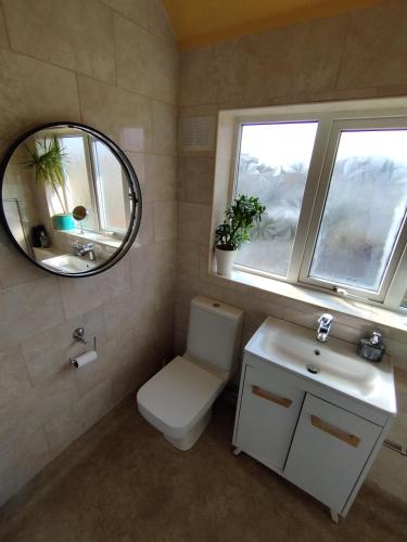 a bathroom with a toilet and a sink and a mirror at We love Henbury in Bristol