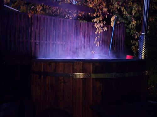 a person is standing in a fountain at night at Siedlisko Pod Dębem in Udzierz