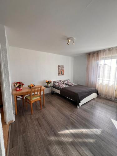 Modern flat DE -CH- Airport -Parking