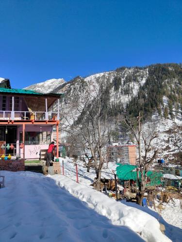 a person standing outside of a building in the snow at Shivaay homestay,cafe in Tosh