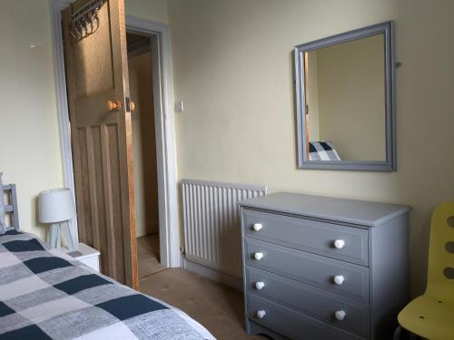 a bedroom with a blue dresser and a mirror at Apartment with Outside Patio and Car Space in Durham