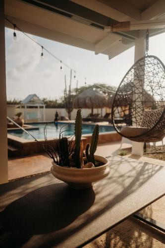 a potted plant sitting on a table next to a pool at Pura Vida Aruba appartement Cama in Noord