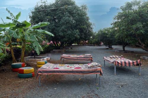 a group of beds in a courtyard with trees at AamraKunj Gir Resort in Sasan Gir