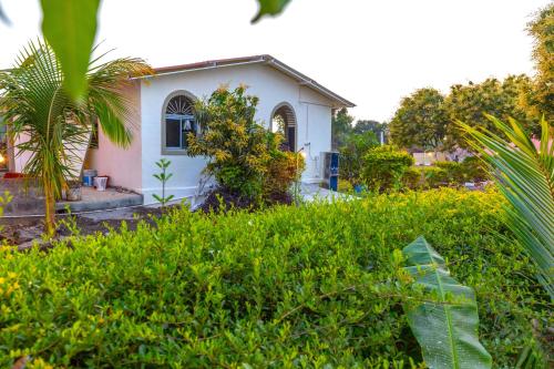 a white house with a palm tree and bushes at AamraKunj Gir Resort in Sasan Gir