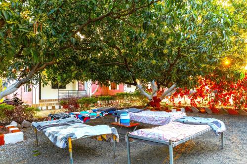 a group of beds sitting under a tree at AamraKunj Gir Resort in Sasan Gir