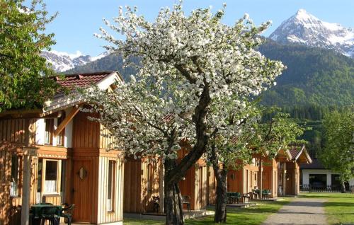 a tree with white flowers in front of a building at Alpencamp Kärnten in Kötschach