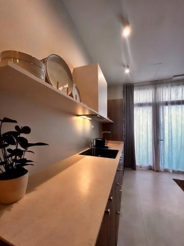 Pivote Flats-Playa A