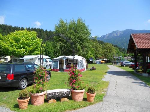a group of potted plants inront of a campsite at Alpencamp Kärnten in Kötschach
