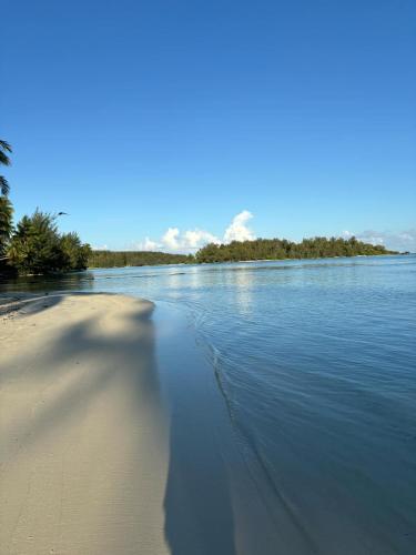 a body of water with a beach and trees in the background at Beach de rêve de moorea in Hauru