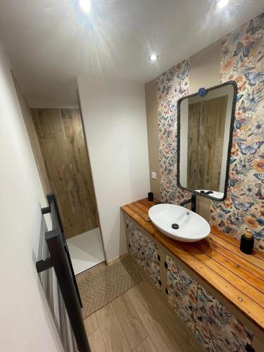 une salle de bain avec un lavabo et un miroir dans l'établissement appartement paisible neuf, à Hyères