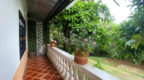 a balcony with two potted plants on it at villa bonita in Florencia