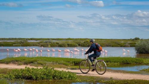 Гости Camargue - La Saline Forézienne - Salin-de-Giraud