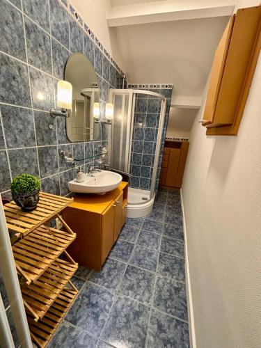 a bathroom with a sink and a shower at Aux portes du marché in Verviers