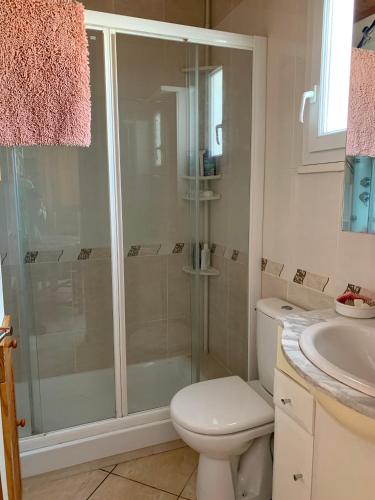 une salle de bain avec une douche, des toilettes et un lavabo dans l'établissement La Bussière, à La Bussière