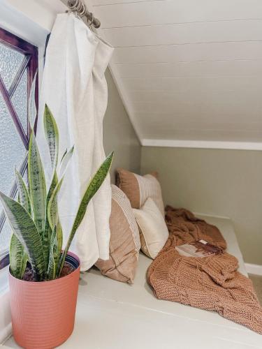 a potted plant sitting on a window sill next to a bed at Guesthouse on Girod in Mandeville