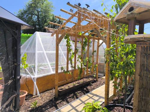 a greenhouse in a garden with plants at Modern Oasis , Edinburgh Airport near,8mi in Rosyth