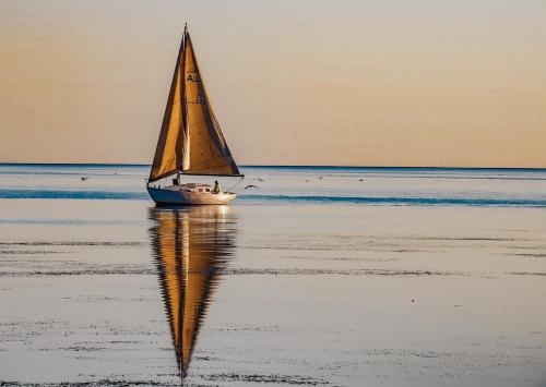 a small sail boat in the water on the beach at Guesthouse on Girod in Mandeville