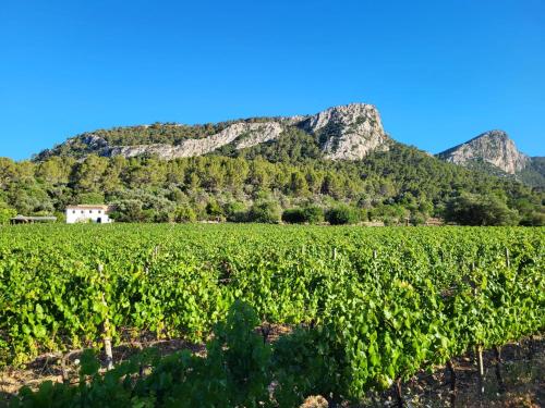 La Gerreria - Villas Trias