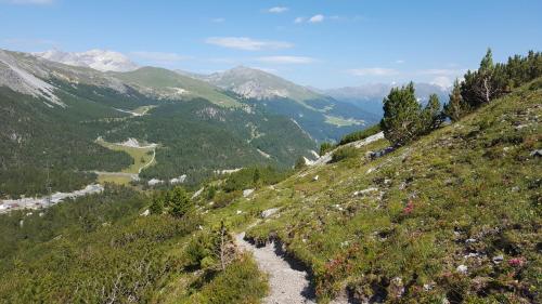 a view of a mountain valley with a river at Hotel Landgasthof Staila in Fuldera