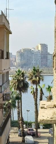 a group of palm trees next to a body of water at Old City Nile View in Cairo