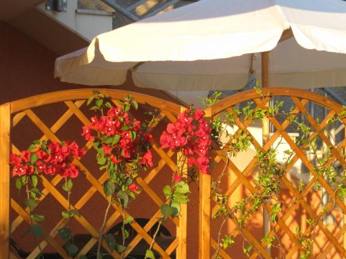 Gallery image of A Due Passi Dal Mare B&B in Numana