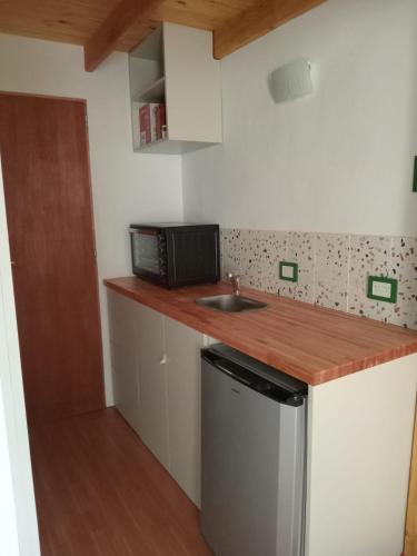 a small kitchen with a sink and a microwave at Casa Maitén in El Bolsón