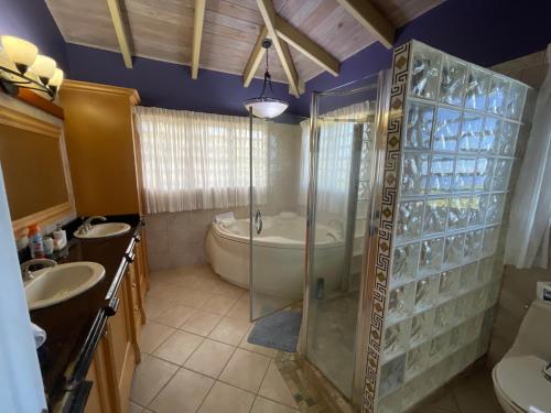 y baño con ducha, 2 lavabos y bañera. en Luxury Spacious Villa with Aircon and Pool Table, en Olveston
