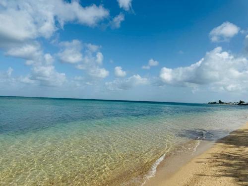 Combate Beach View Apt #1