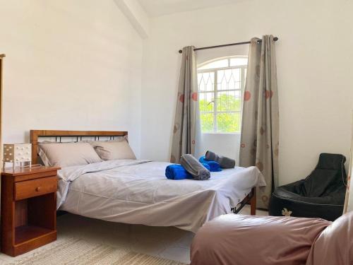 a bedroom with two beds and a desk and a window at Cosy Escape in Flic-en-Flac