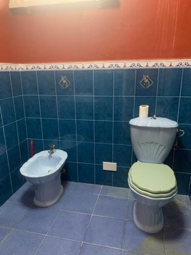 Un baño de Surinam house
