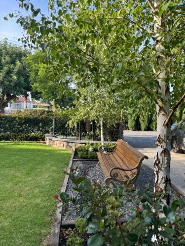 a park bench sitting under a tree in a park at Barossa Bed & Breakfast in Tanunda