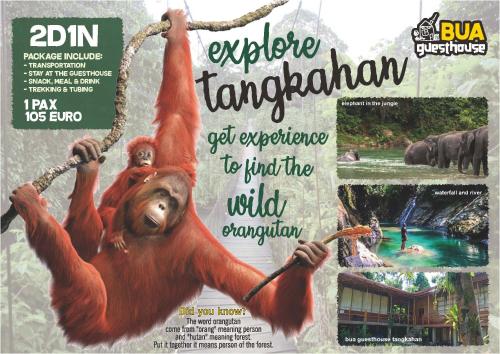 a magazine cover with a picture of a monkey on a swing at Bua Guesthouse Tangkahan in Tangkahan