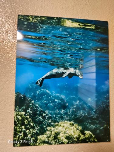Imagen de la galería de Yonegan Plumeria Hilo Hotel, en Hilo