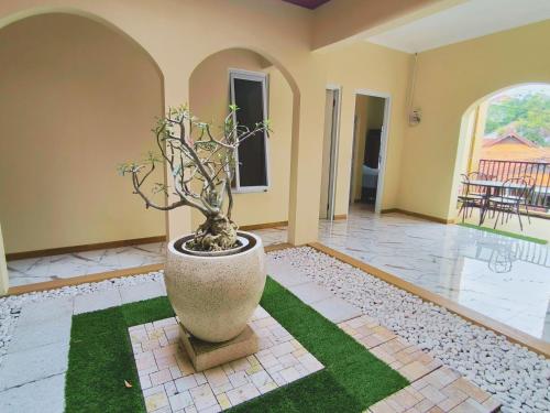 a large vase with a plant in the middle of a room at Pomah Guesthouse in Jatingaleh