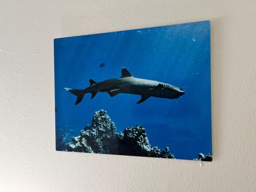 Imagen de la galería de Yonegan Plumeria Hilo Hotel, en Hilo