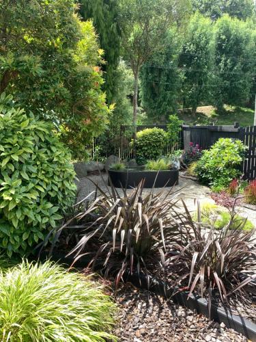 a garden with plants and a bench in the middle at Private Guest Wing - Durie Vale Lodge in Whanganui