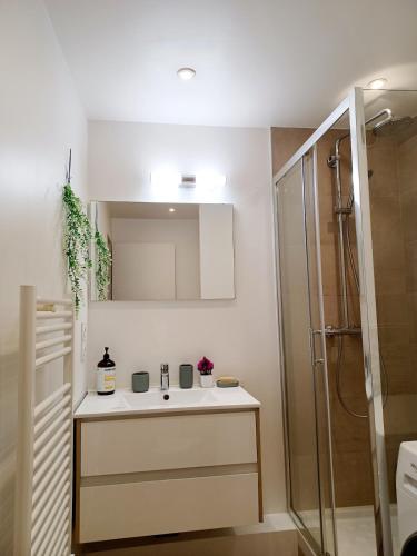 une salle de bain avec un lavabo et une douche dans l'établissement 2 beds, modern building, with mobile AC, Paris Expo, 7' metro 2 steps to Paris, à Montrouge