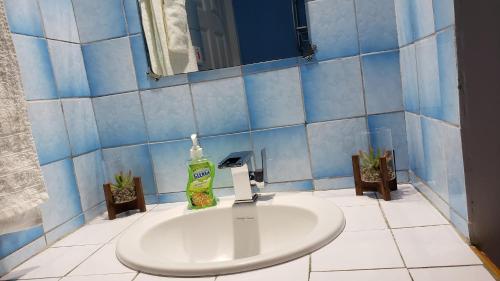 a bathroom sink with a bottle of soap on it at Finch Apartment in Gwa Kay
