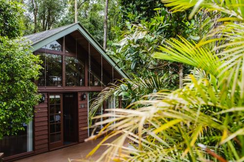 a house in the jungle with trees and plants at Kondalilla Eco Resort in Montville