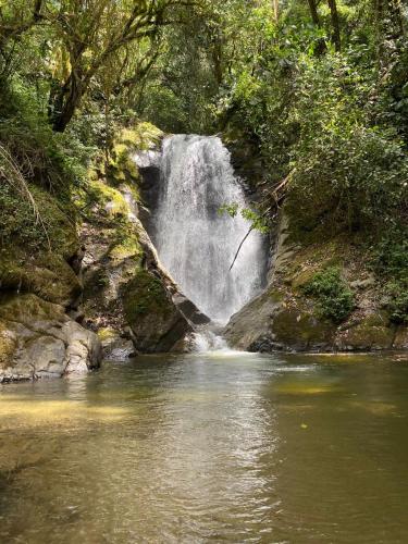 a waterfall in the middle of a river at Reserva Santa Lucia de Salento in Salento