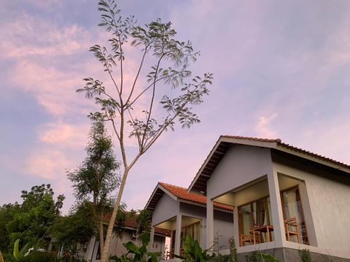 a house with a tree in front of it at Tommy Homestay in Plambi