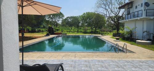 Bazén v ubytování Temuri Resort nebo v jeho okolí