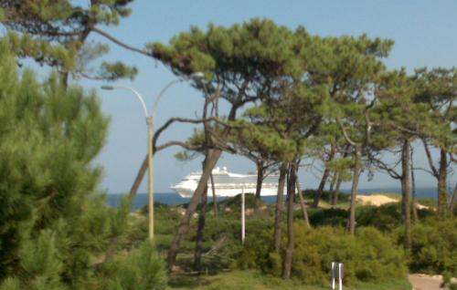 un grupo de árboles y un semáforo y el océano en Edificio Mediterraneo, en Punta del Este