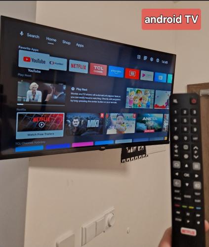 a person holding a remote control in front of a tv at apartmán Meluzínka in Loučná pod Klínovcem