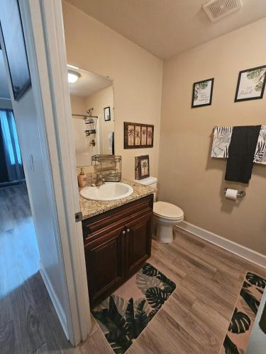 a bathroom with a sink and a toilet at Cute Comfy Studio Prime Location in Tallahassee