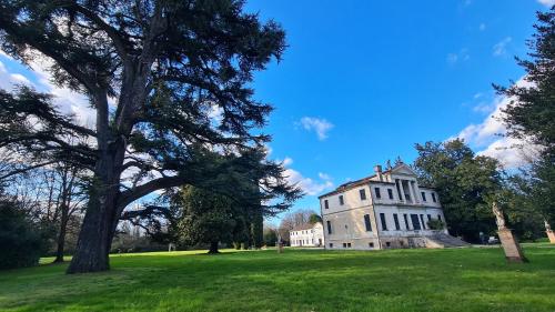an old house in a field with a tree at Casa Anì in Mirano