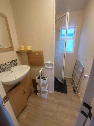 a bathroom with a white sink and a shower at Cozy Caravans in Ramsgate in Ramsgate