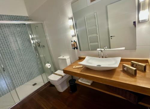 a bathroom with a sink and a shower and a toilet at CR Hanami House Boutique in Navaconcejo