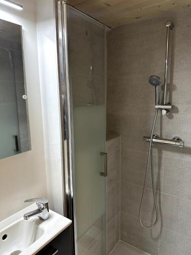 une salle de bain avec douche et lavabo dans l'établissement L'hypercentral - 4 Chapeaux, à Lyon
